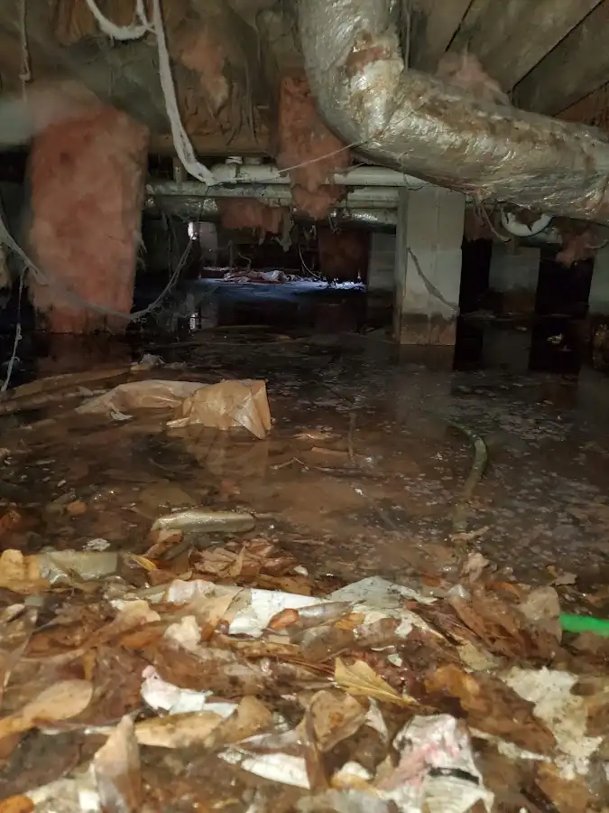 Crawl space flood assessment for Leak Detection & Repair in Fairbanks