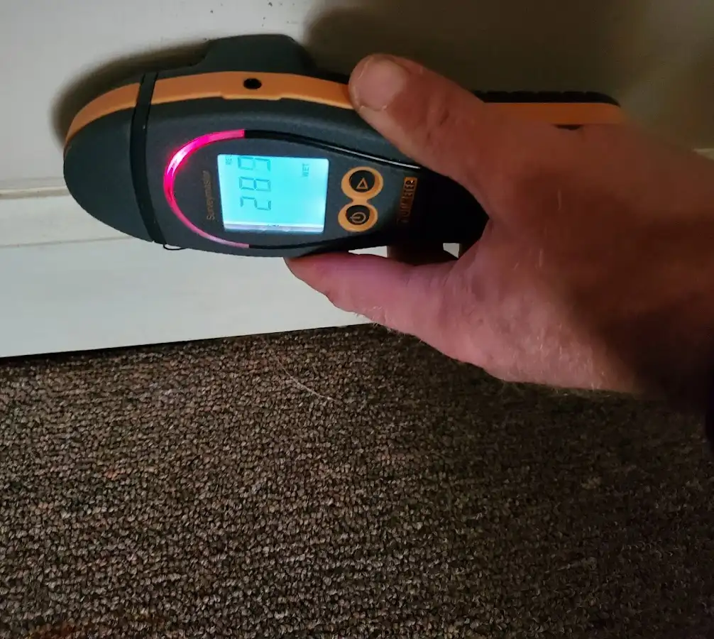 Moisture detection at baseboard during Mold Inspection & Testing in Fairbanks